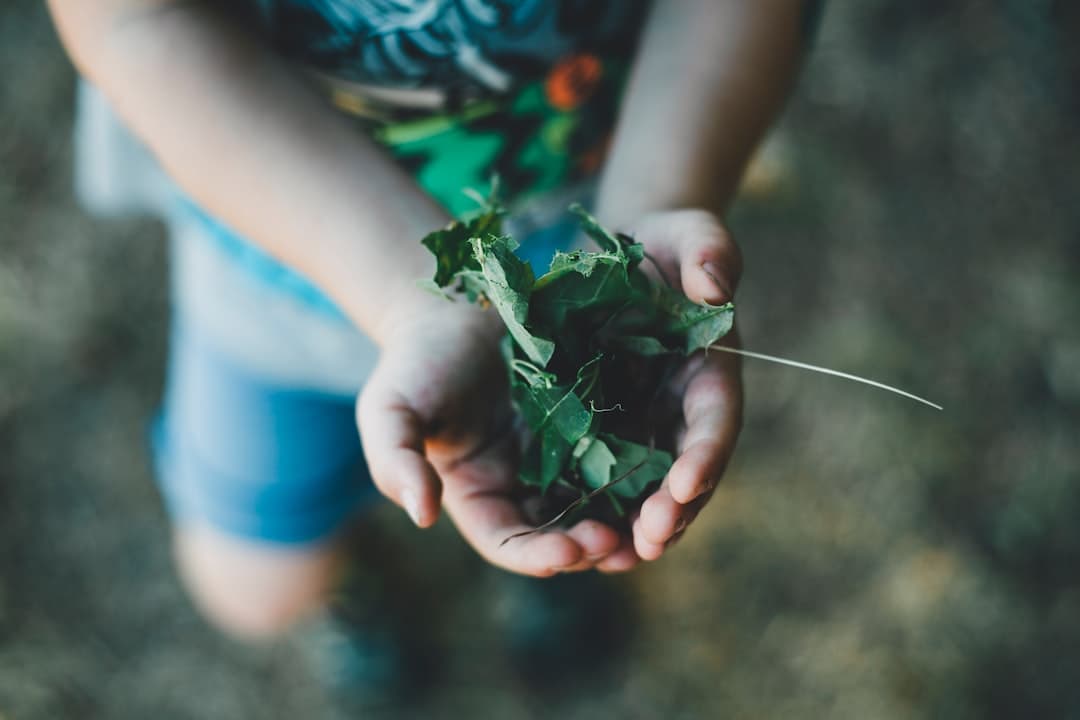 Play & garden